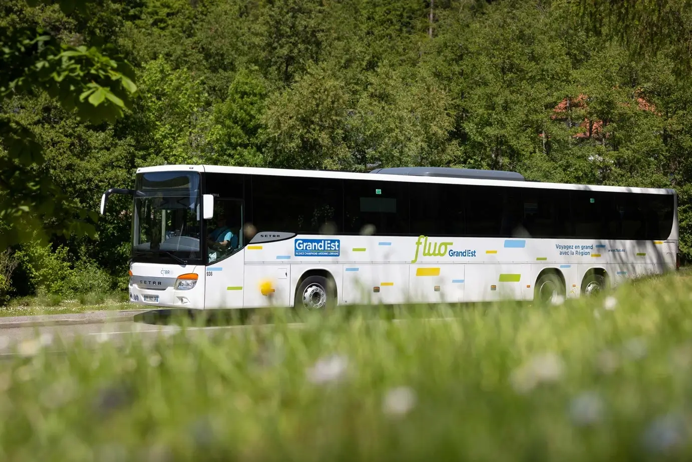 Bus bus