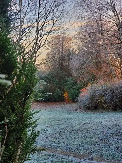nature Hébergement en pleine nature dans les Vosges